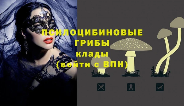 твердый Алзамай
