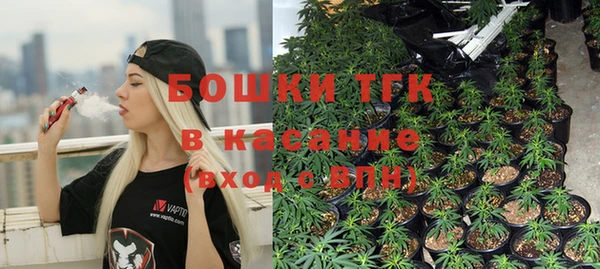 твердый Алзамай