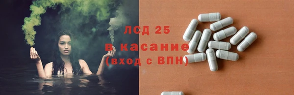 твердый Алзамай