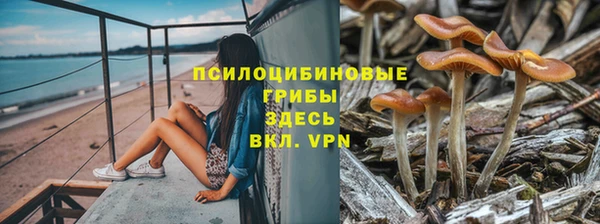 твердый Алзамай