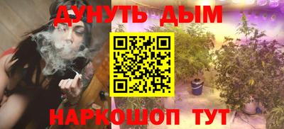 твердый Бийск