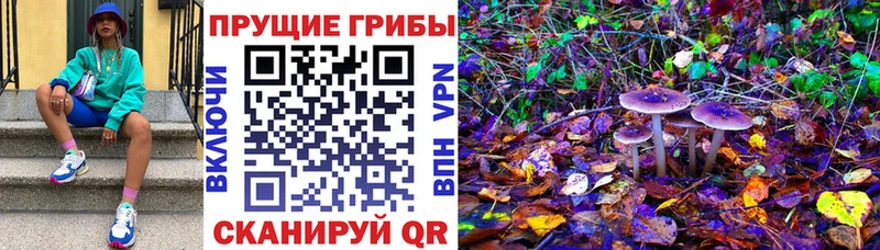Псилоцибиновые грибы GOLDEN TEACHER  Воткинск 